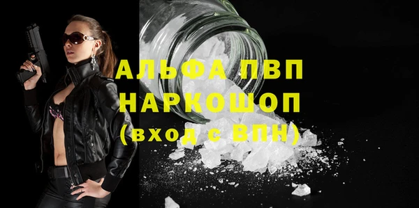 стаф Коряжма