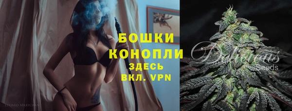 ешки Корсаков