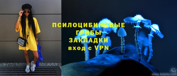 стаф Коряжма