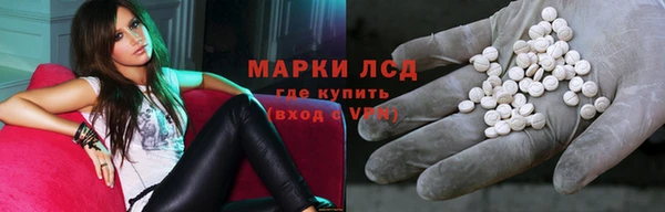 ешки Корсаков