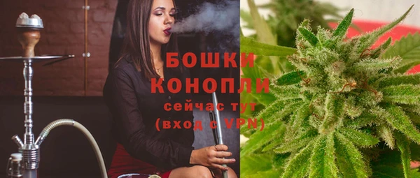 стаф Коряжма