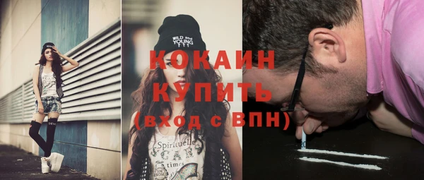 стаф Коряжма