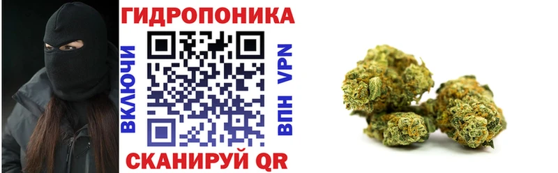 купить закладку  Можайск  Марихуана SATIVA & INDICA 